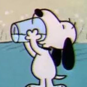 Meet your Posher, Cc’s